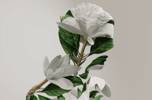 Feature Image